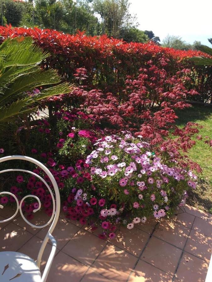 Villa Gaia - Luxury Villa, Pool & Wellness Rooms Bordighera Εξωτερικό φωτογραφία